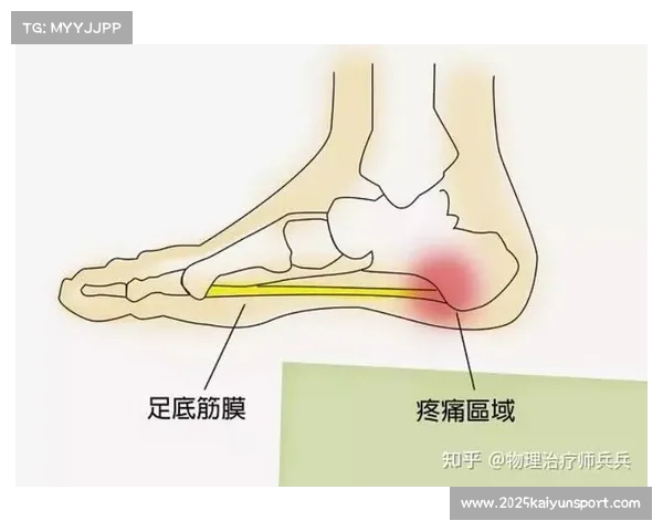 网球体能训练手册再版,新增运动康复与预防损伤章节